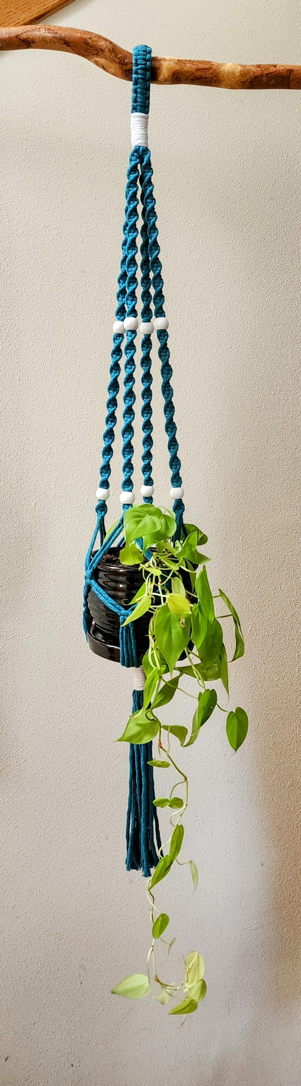 Teal and White Macrame Plant Hanger