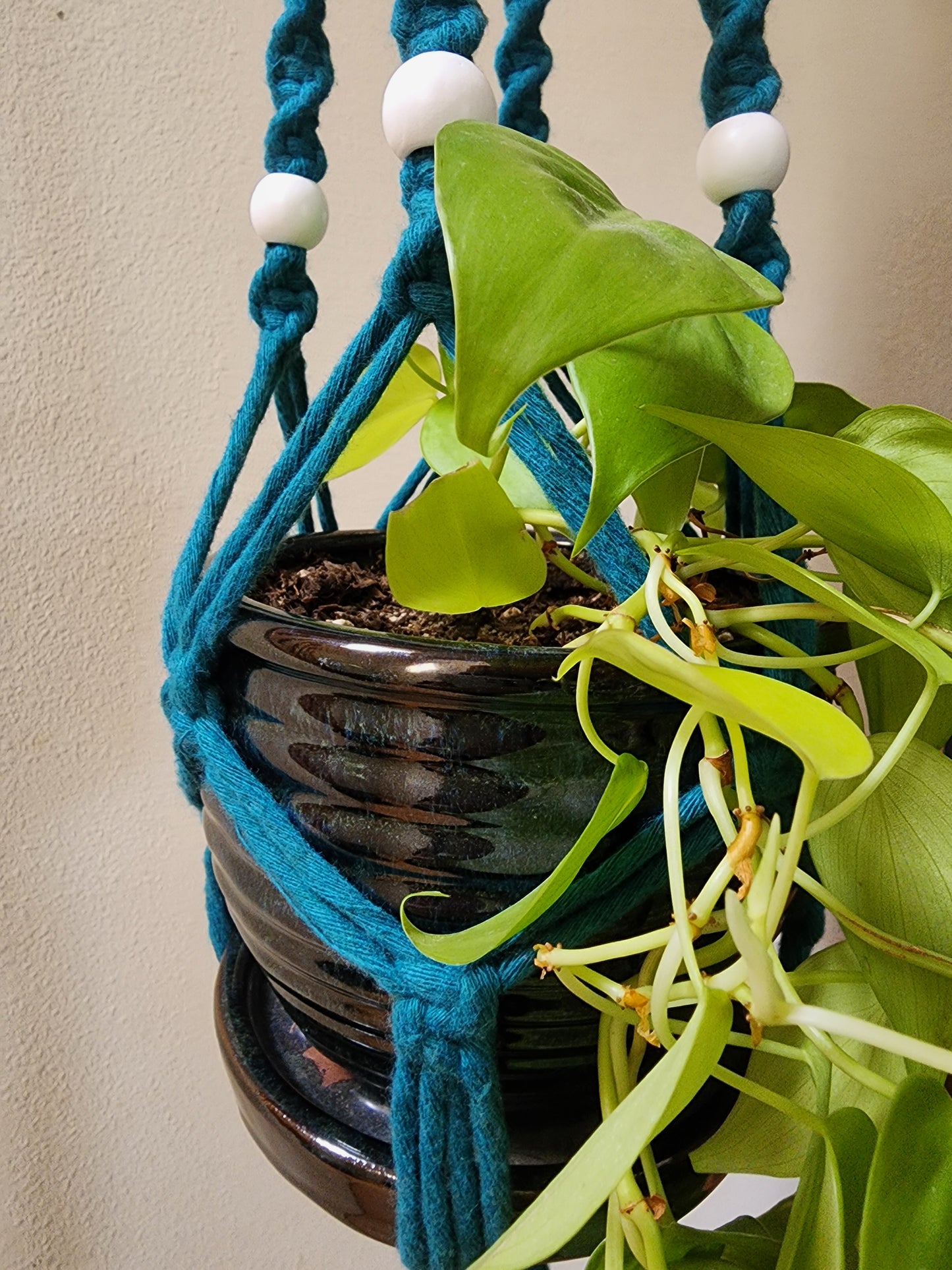 Teal and White Macrame Plant Hanger